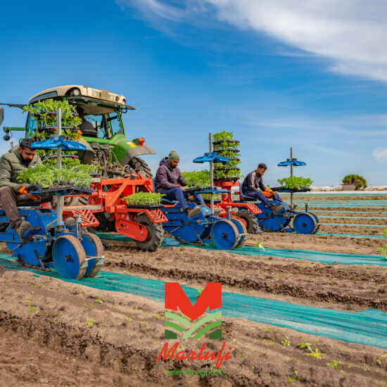 I vantaggi del gps in agricoltura